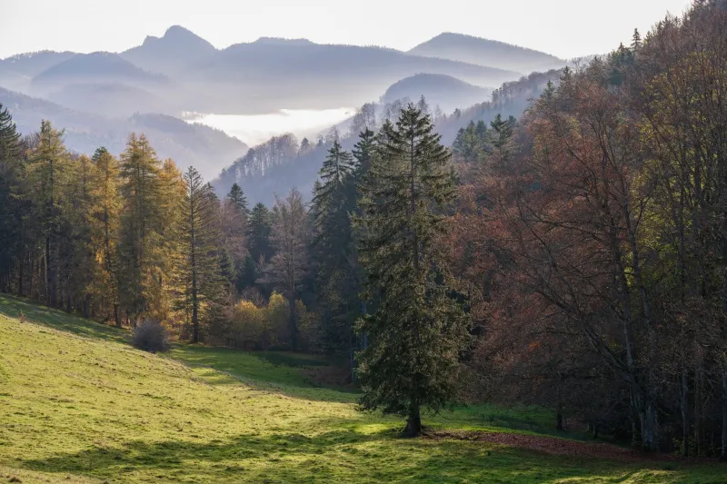 Breathing With Intention: How the World's Most Discerning Travelers Are Prescribing Themselves the Perfect Atmosphere