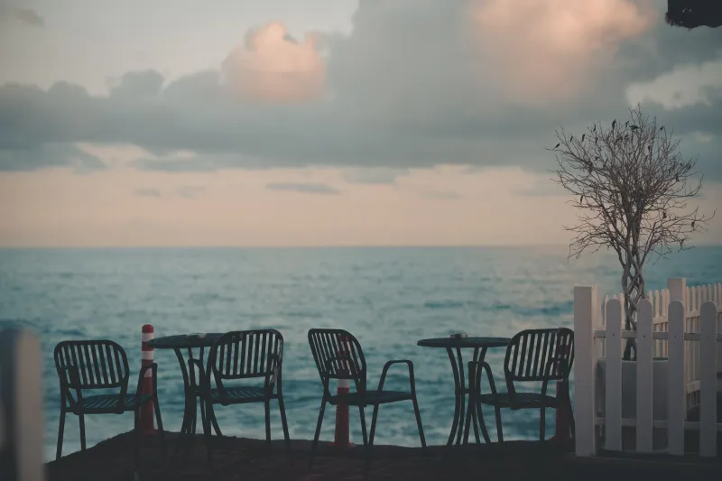 The Eloquence of Absence: Why the Most Sophisticated Resorts Have Mastered the Art of Knowing When to Disappear