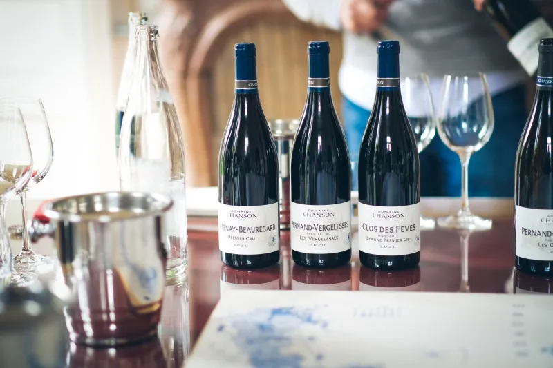 Follow the Vine: How Wine Culture Has Become the Sophisticated Traveler's Most Reliable Compass
